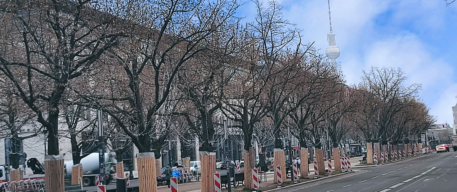 Bäume an Straße in Berlin mit Fernsehturm