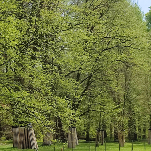 Schädlingsbekämpfung