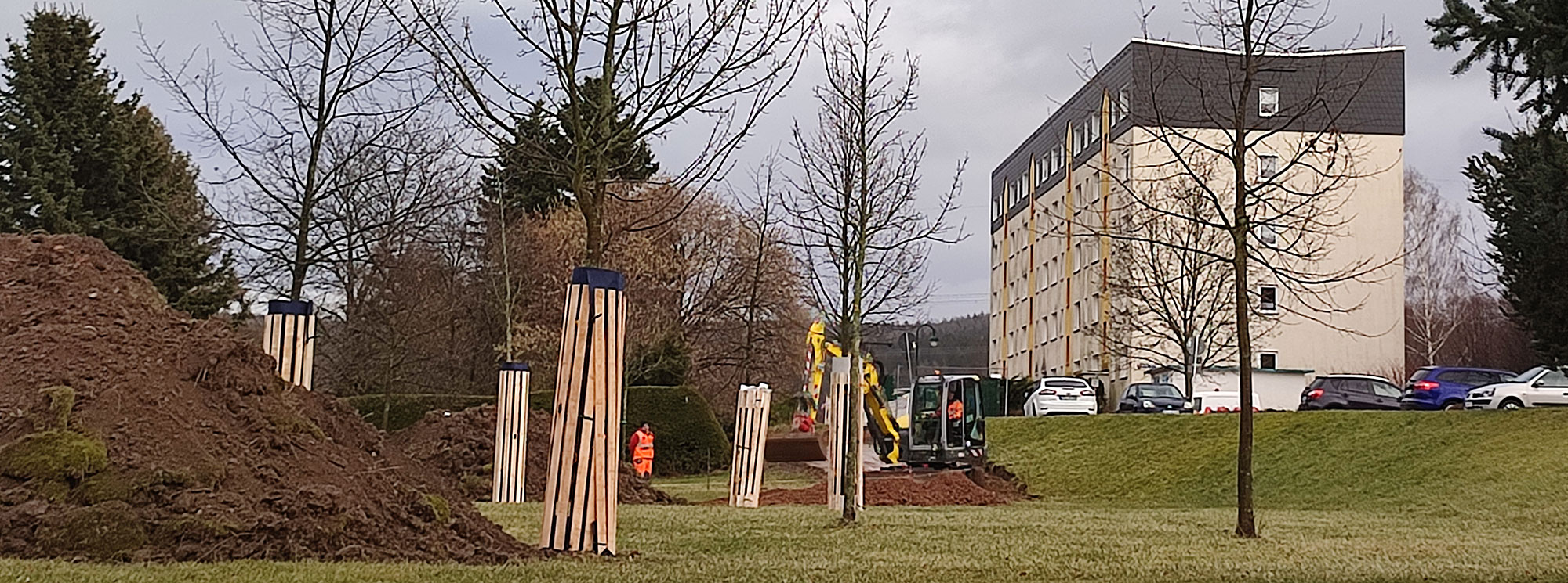 Baumschutz für Bäume auf Baustelle
