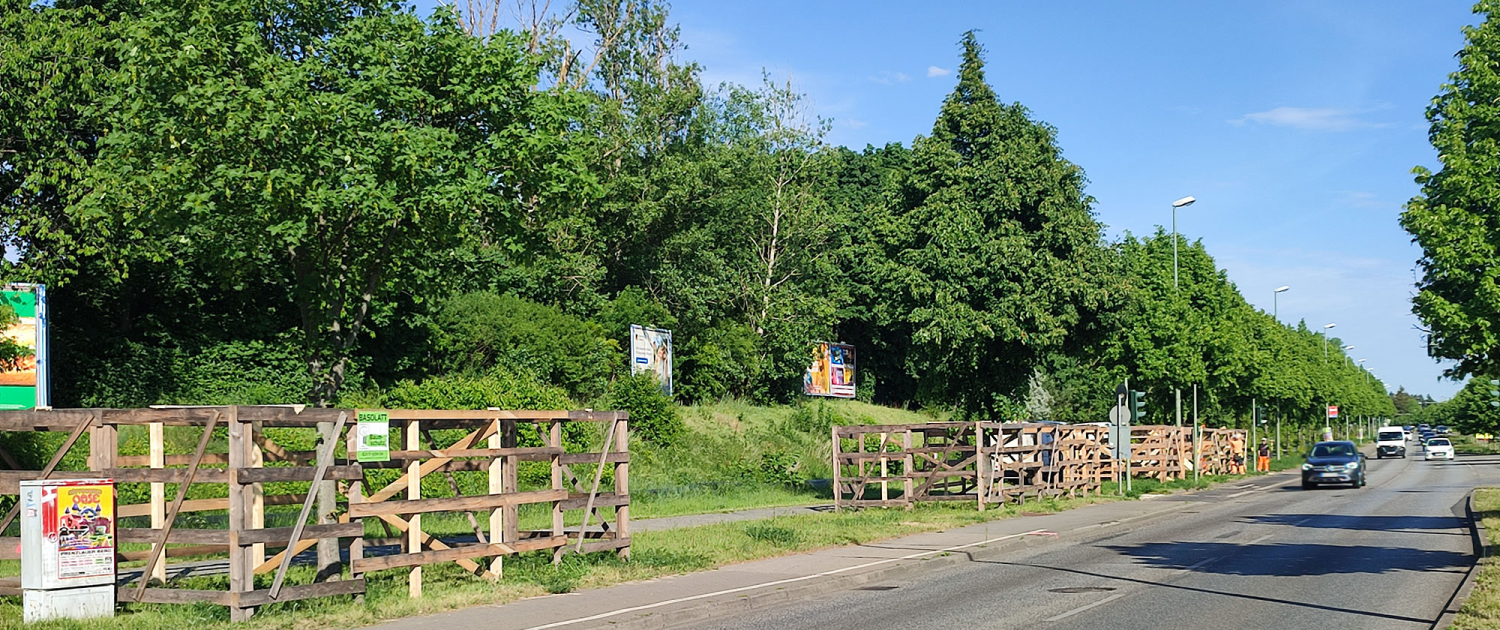 Befahrungsschutz für Bäume